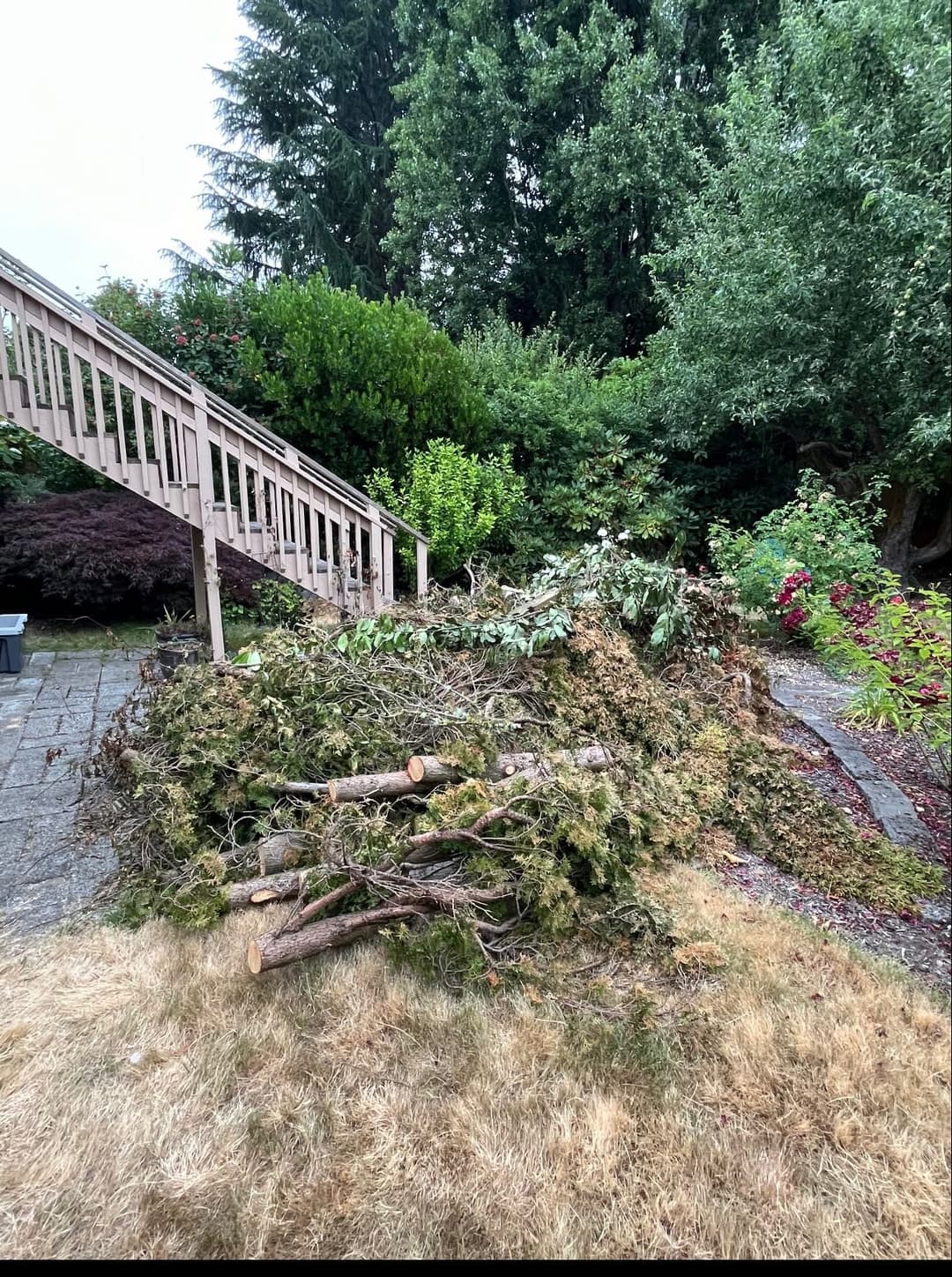 shrubs and trees and wooden junk ready to be removed and taken to the dump