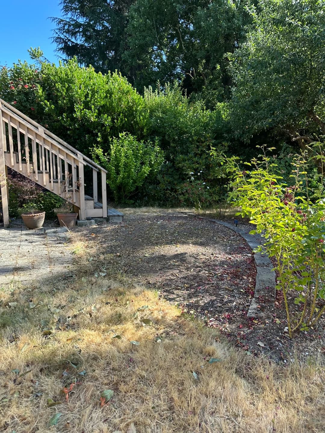 wooden shrubs and trees completely cleaned up leaving a nice clean backyard
