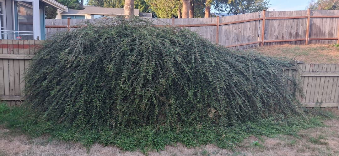 Exterior lighting installation highlighting roofline with LED accent lights